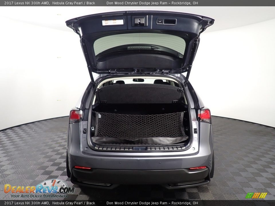 2017 Lexus NX 300h AWD Nebula Gray Pearl / Black Photo #15