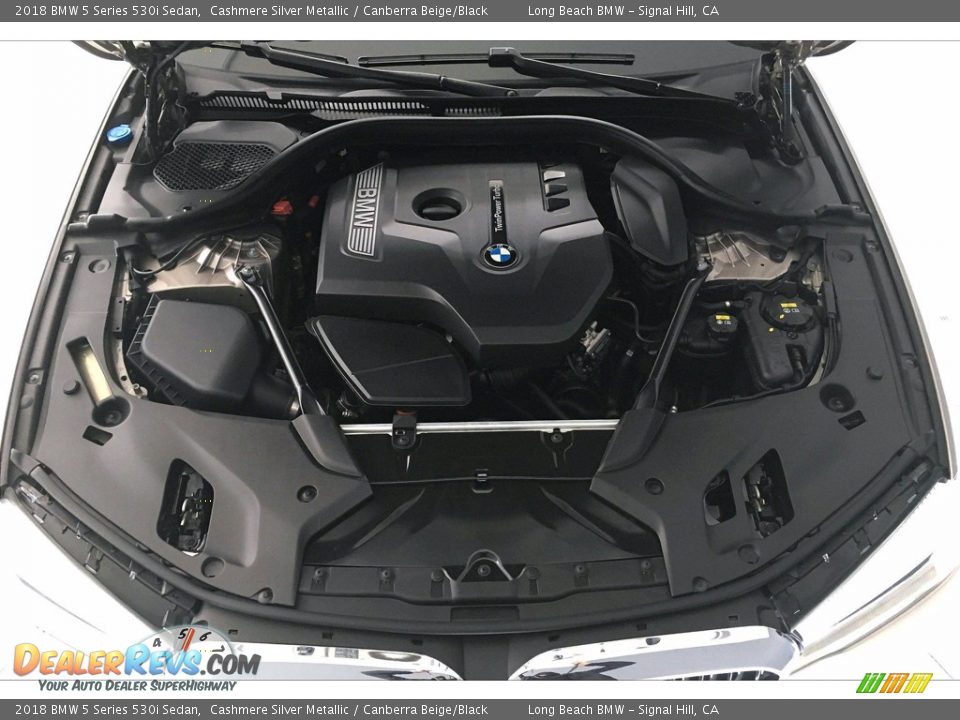 2018 BMW 5 Series 530i Sedan 2.0 Liter DI TwinPower Turbocharged DOHC 16-Valve VVT 4 Cylinder Engine Photo #9