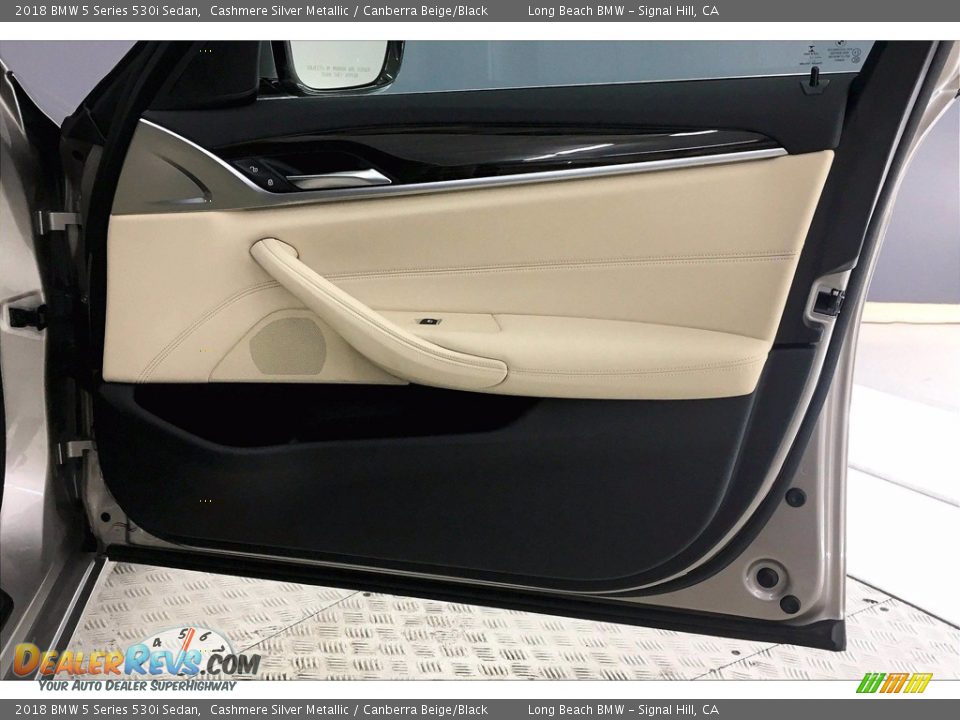 Door Panel of 2018 BMW 5 Series 530i Sedan Photo #24