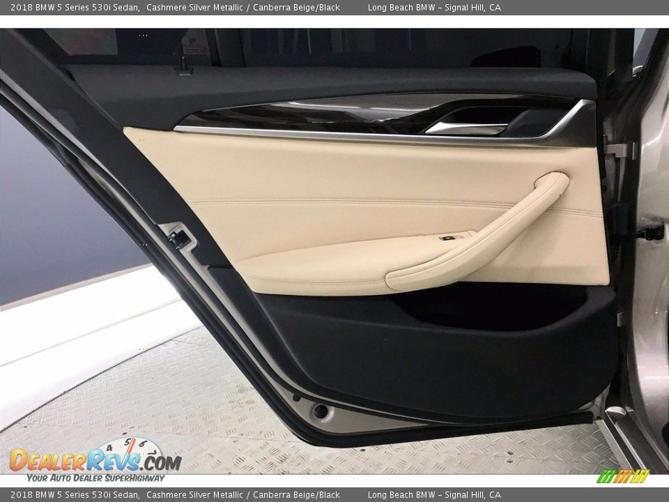 Door Panel of 2018 BMW 5 Series 530i Sedan Photo #25