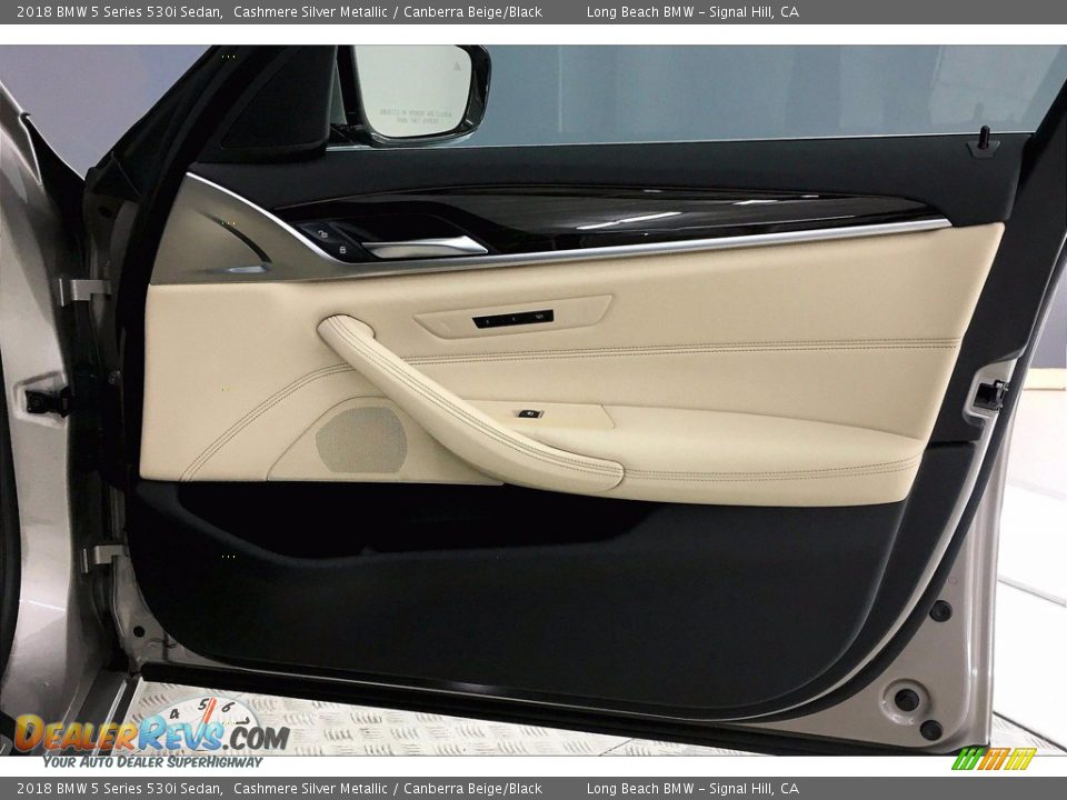 Door Panel of 2018 BMW 5 Series 530i Sedan Photo #24