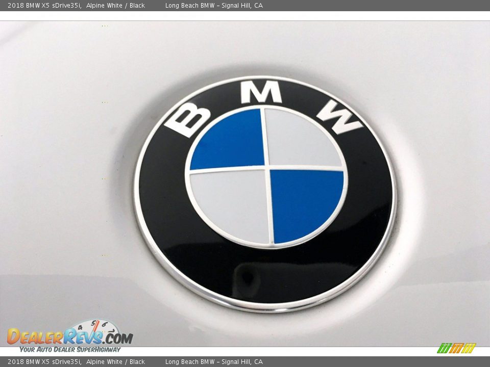 2018 BMW X5 sDrive35i Alpine White / Black Photo #33