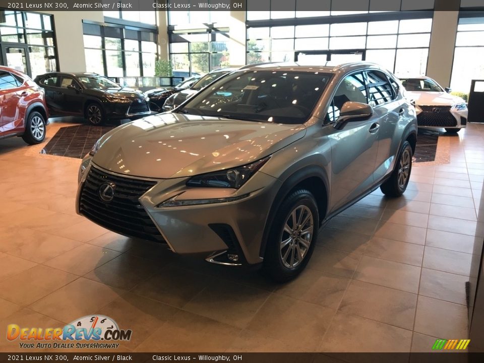 2021 Lexus NX 300 Atomic Silver / Black Photo #1