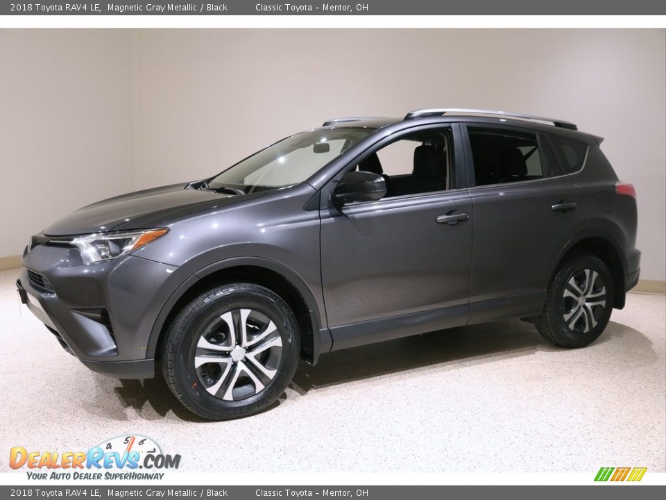 2018 Toyota RAV4 LE Magnetic Gray Metallic / Black Photo #3