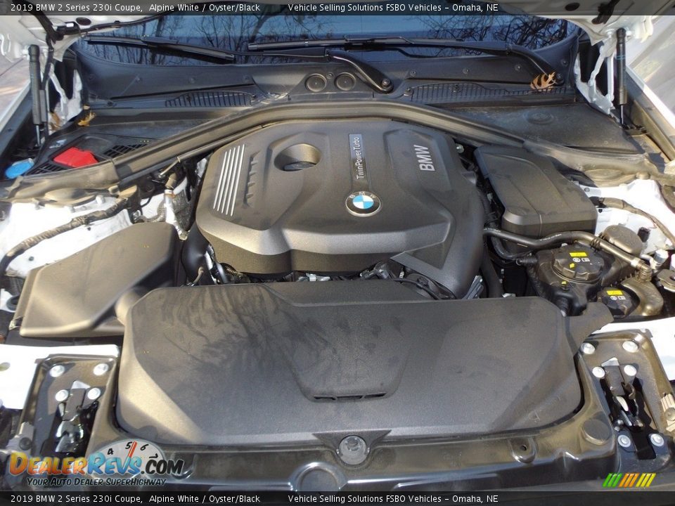 2019 BMW 2 Series 230i Coupe Alpine White / Oyster/Black Photo #2