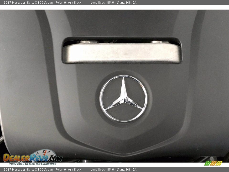 2017 Mercedes-Benz C 300 Sedan Polar White / Black Photo #35
