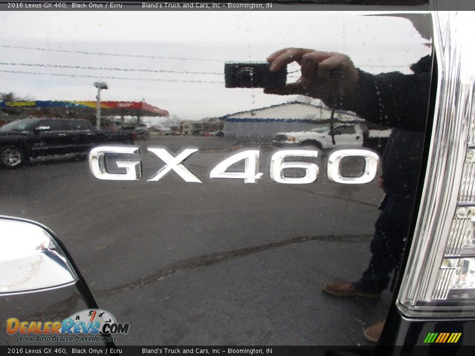 2016 Lexus GX 460 Logo Photo #34