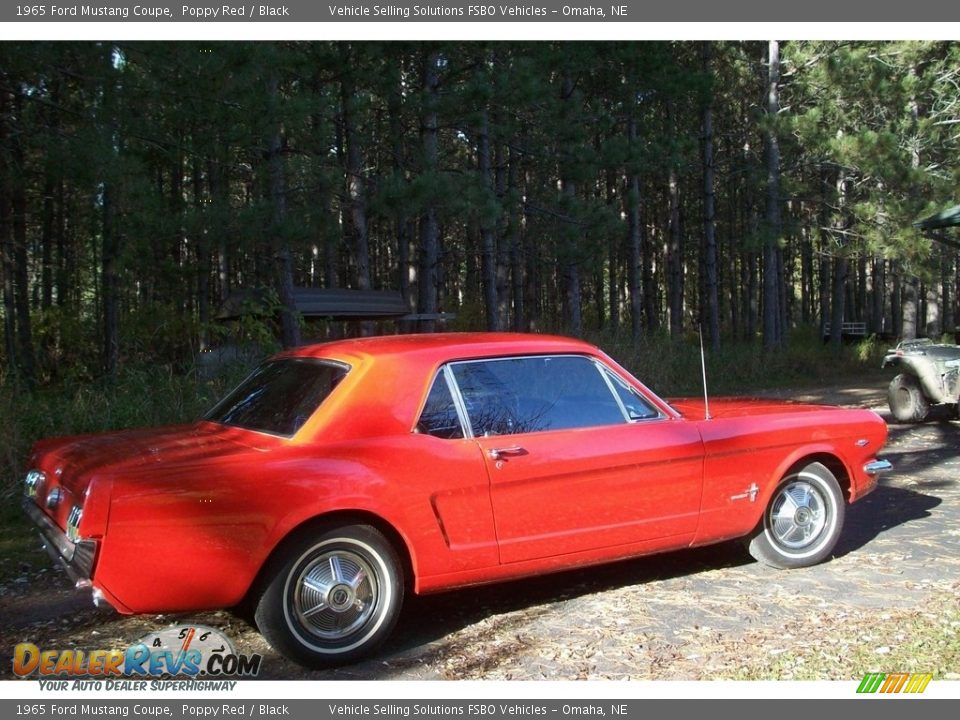 1965 Ford Mustang Coupe Poppy Red / Black Photo #1