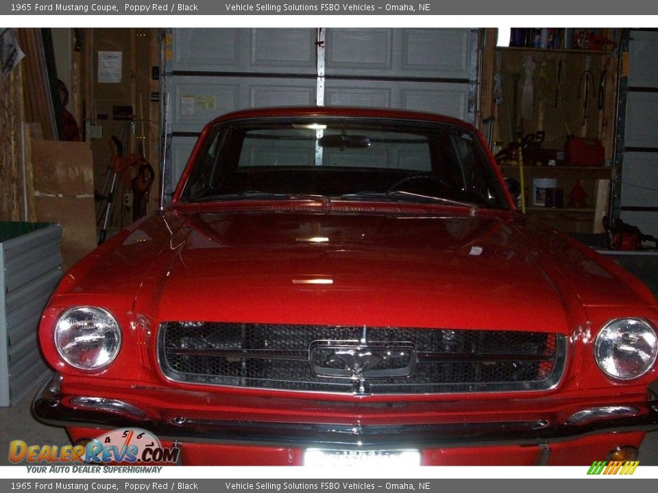 1965 Ford Mustang Coupe Poppy Red / Black Photo #6
