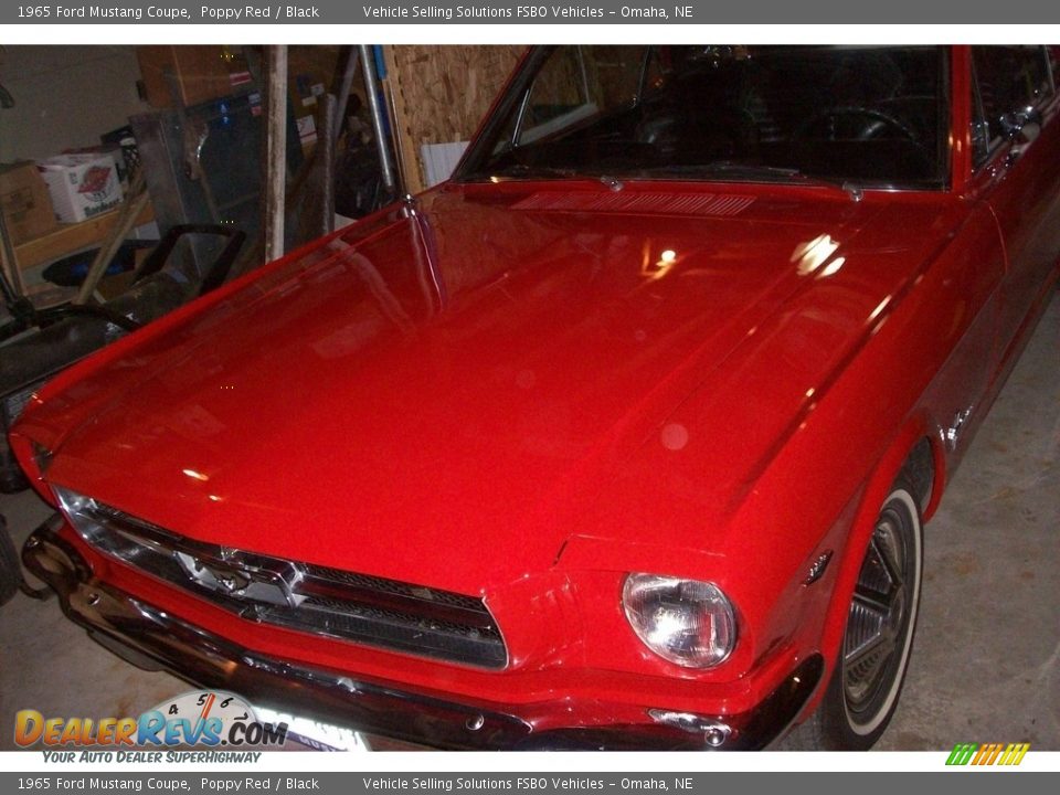1965 Ford Mustang Coupe Poppy Red / Black Photo #7