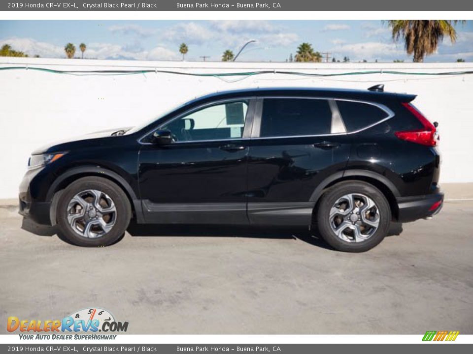 2019 Honda CR-V EX-L Crystal Black Pearl / Black Photo #8