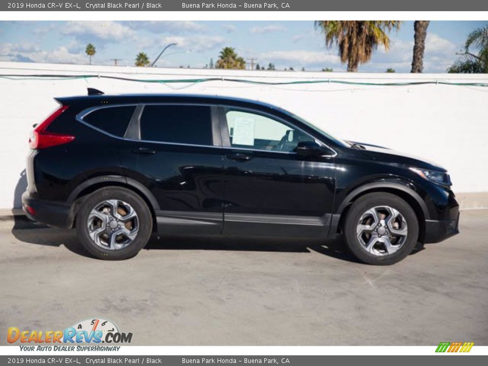 2019 Honda CR-V EX-L Crystal Black Pearl / Black Photo #10