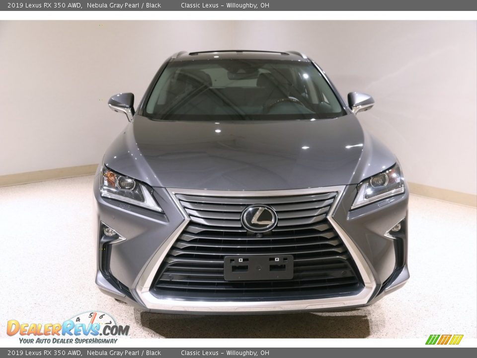 2019 Lexus RX 350 AWD Nebula Gray Pearl / Black Photo #2