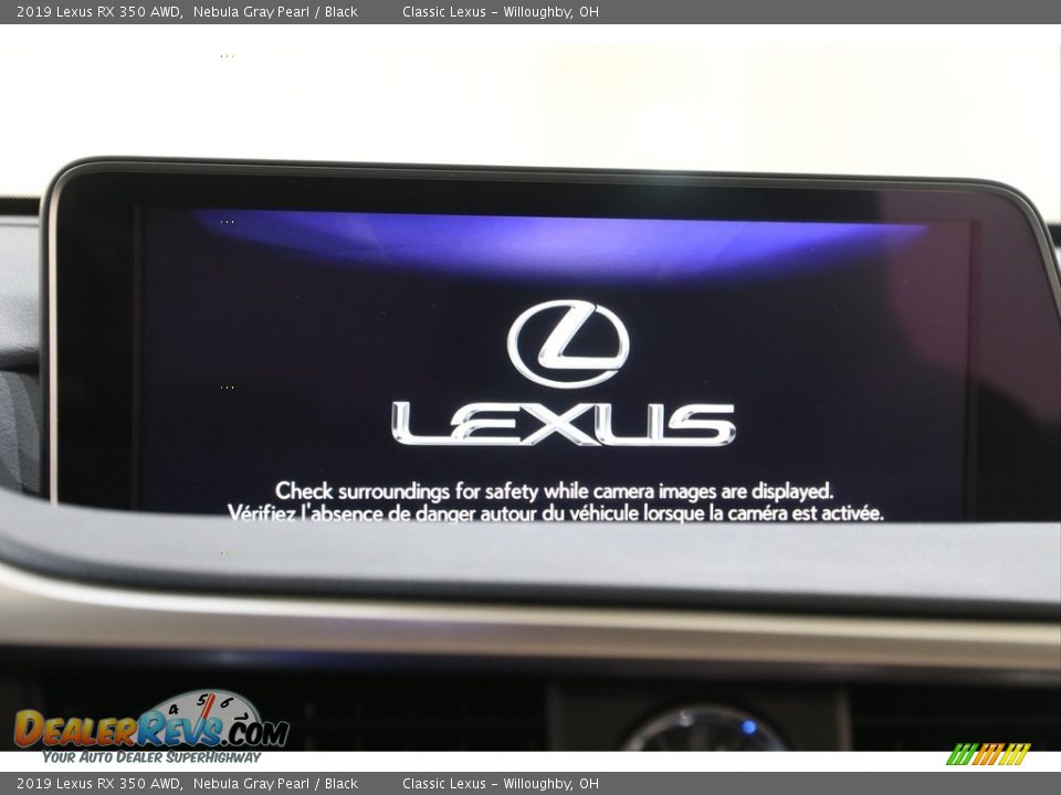 2019 Lexus RX 350 AWD Nebula Gray Pearl / Black Photo #10