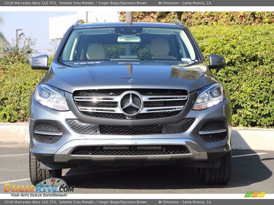 2018 Mercedes-Benz GLE 350 Selenite Grey Metallic / Ginger Beige/Espresso Brown Photo #3