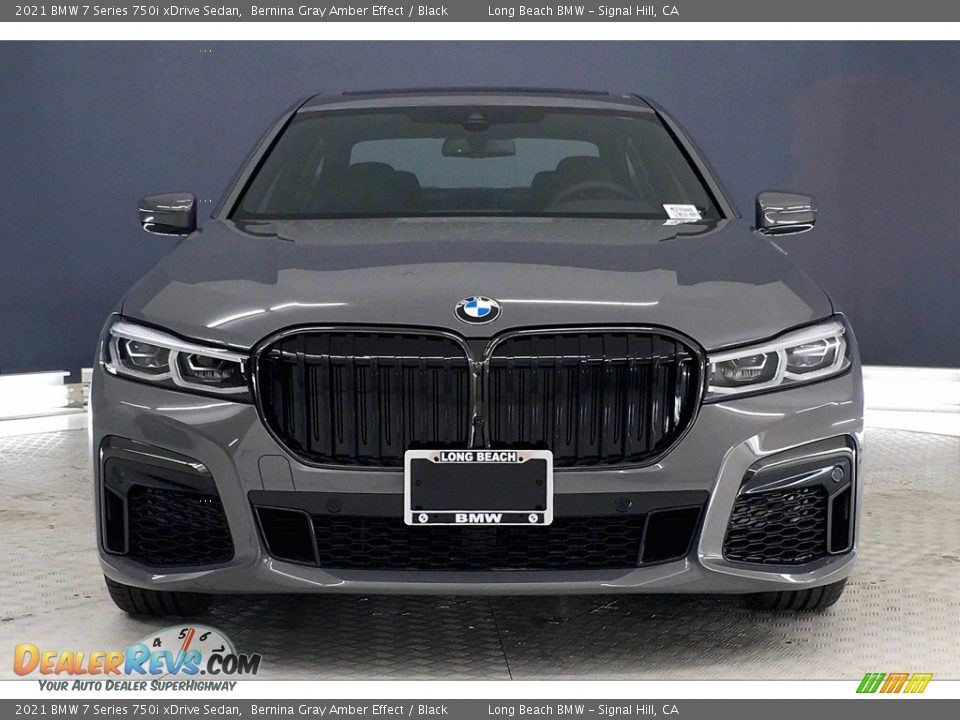 2021 BMW 7 Series 750i xDrive Sedan Bernina Gray Amber Effect / Black Photo #2