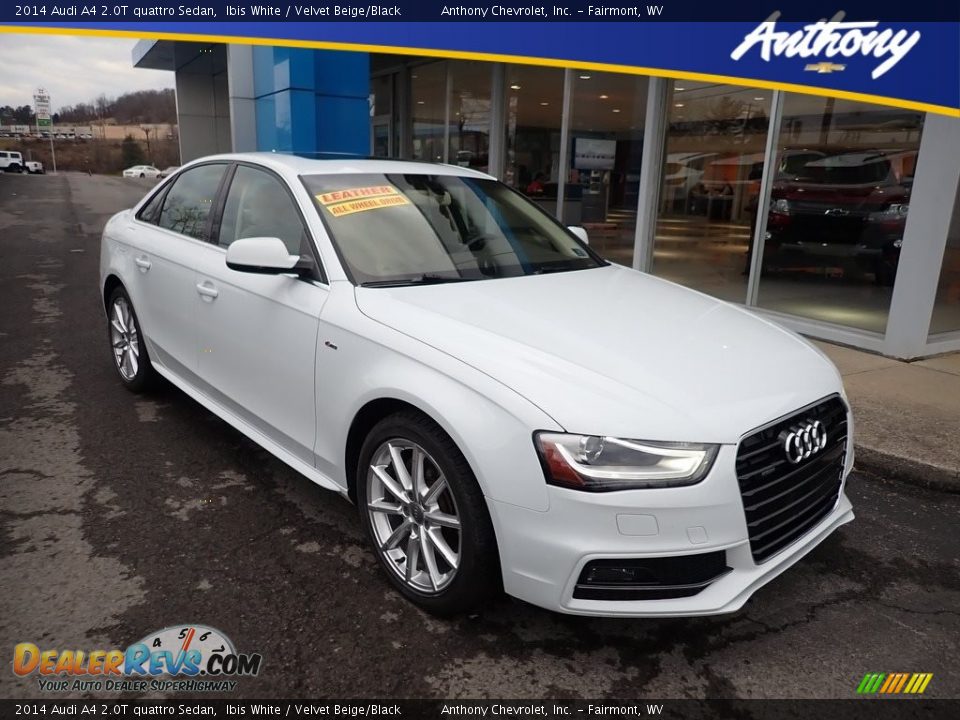 2014 Audi A4 2.0T quattro Sedan Ibis White / Velvet Beige/Black Photo #1