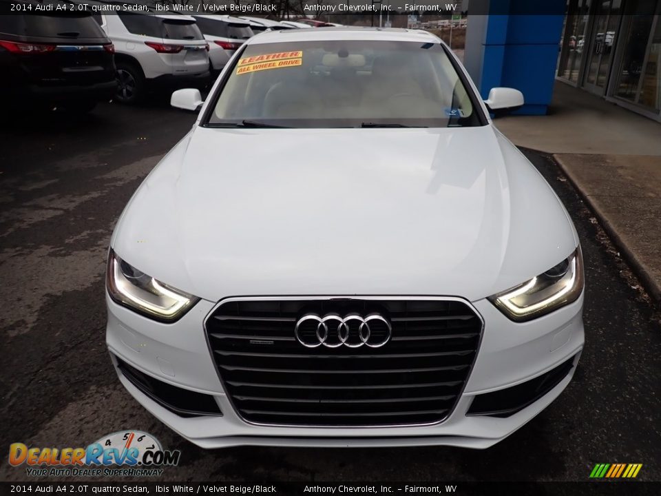 2014 Audi A4 2.0T quattro Sedan Ibis White / Velvet Beige/Black Photo #2