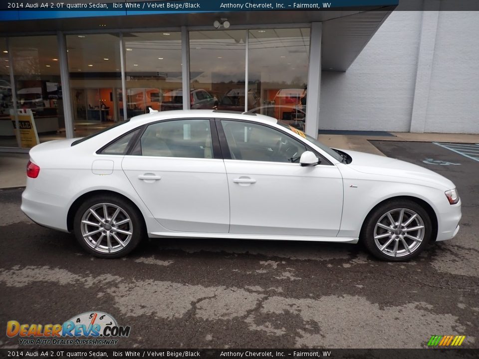 2014 Audi A4 2.0T quattro Sedan Ibis White / Velvet Beige/Black Photo #3