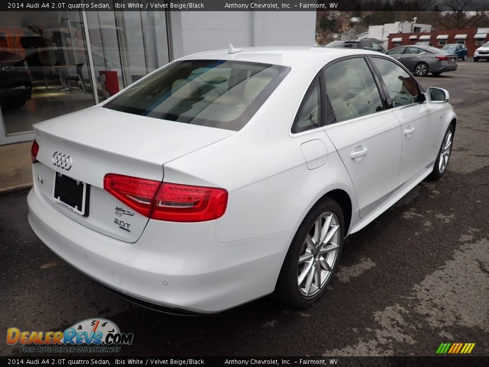 2014 Audi A4 2.0T quattro Sedan Ibis White / Velvet Beige/Black Photo #4