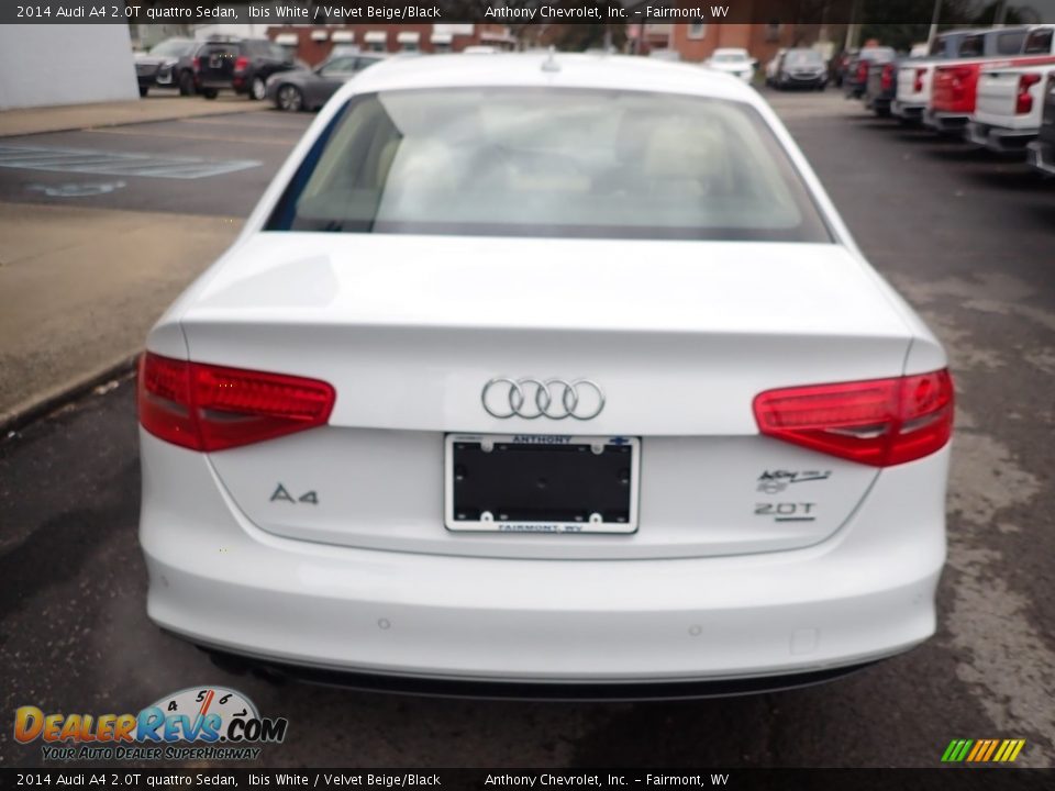 2014 Audi A4 2.0T quattro Sedan Ibis White / Velvet Beige/Black Photo #5