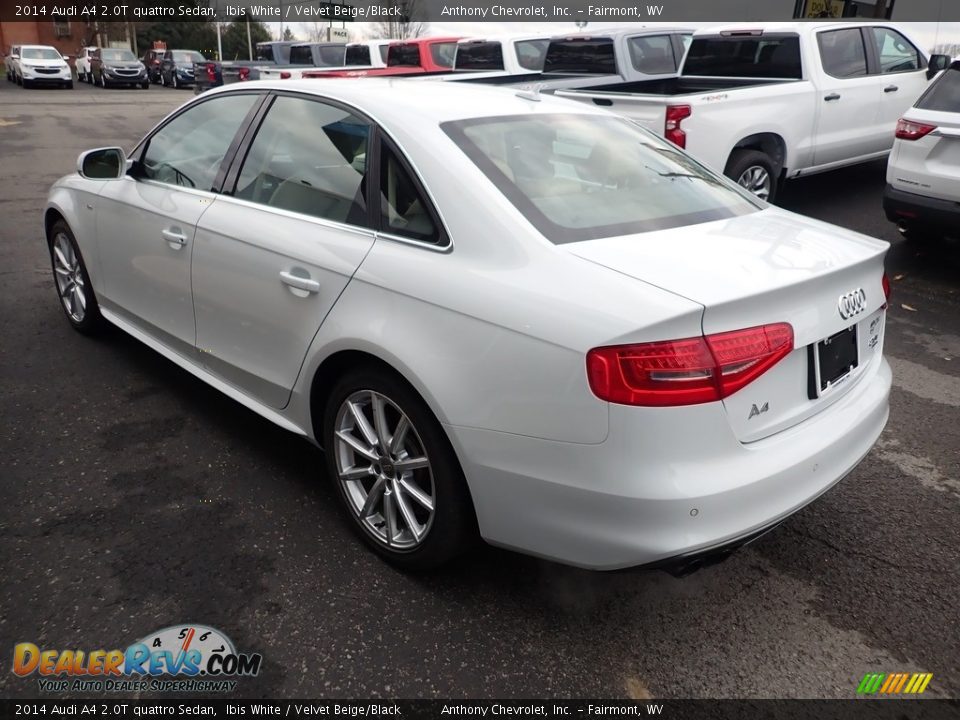 2014 Audi A4 2.0T quattro Sedan Ibis White / Velvet Beige/Black Photo #6