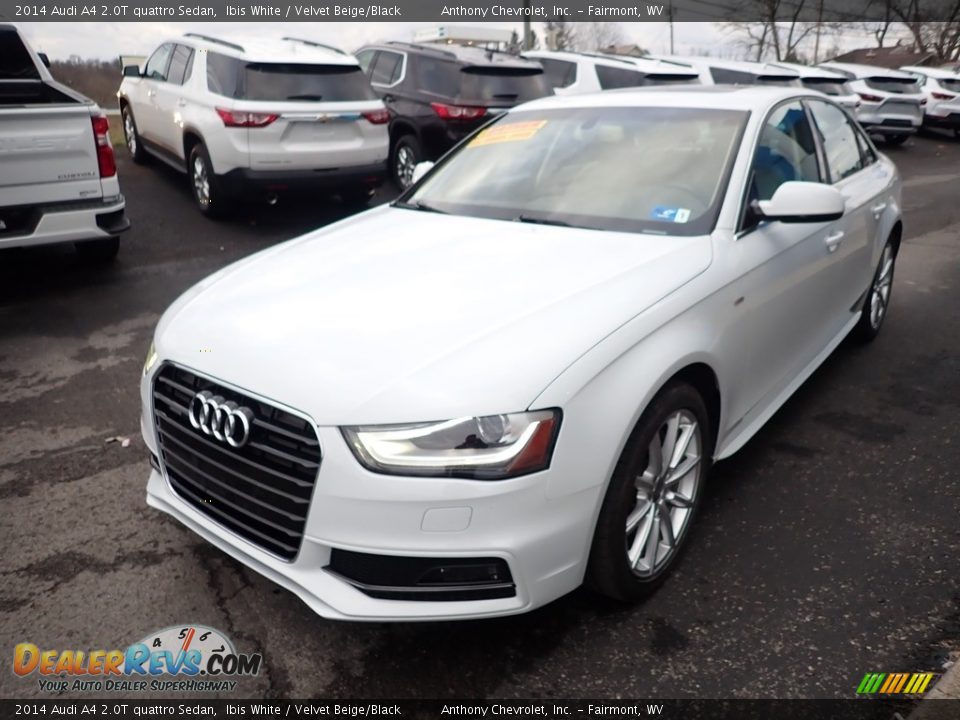 2014 Audi A4 2.0T quattro Sedan Ibis White / Velvet Beige/Black Photo #7