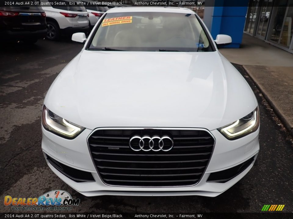 2014 Audi A4 2.0T quattro Sedan Ibis White / Velvet Beige/Black Photo #8