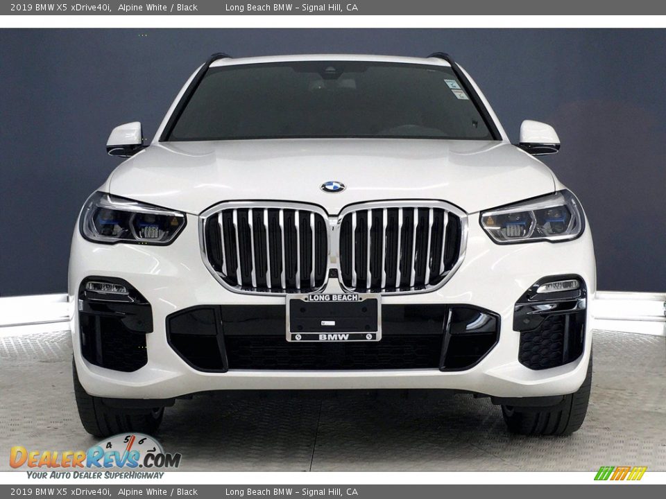 2019 BMW X5 xDrive40i Alpine White / Black Photo #2