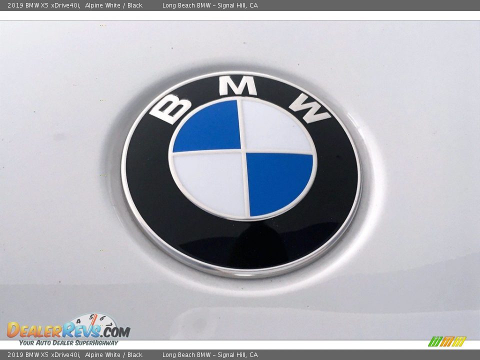 2019 BMW X5 xDrive40i Alpine White / Black Photo #33