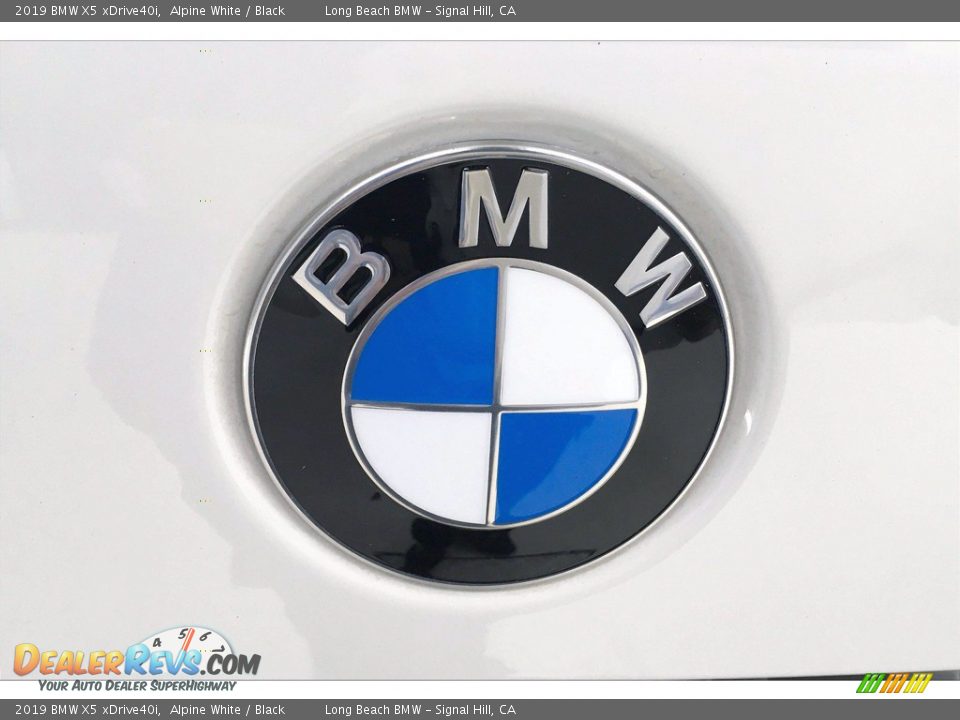 2019 BMW X5 xDrive40i Alpine White / Black Photo #34