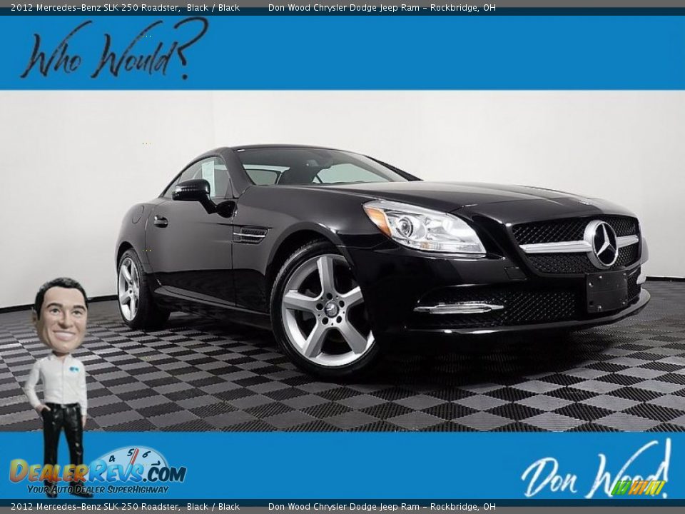 2012 Mercedes-Benz SLK 250 Roadster Black / Black Photo #1