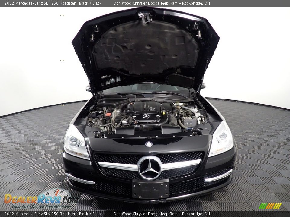 2012 Mercedes-Benz SLK 250 Roadster Black / Black Photo #7