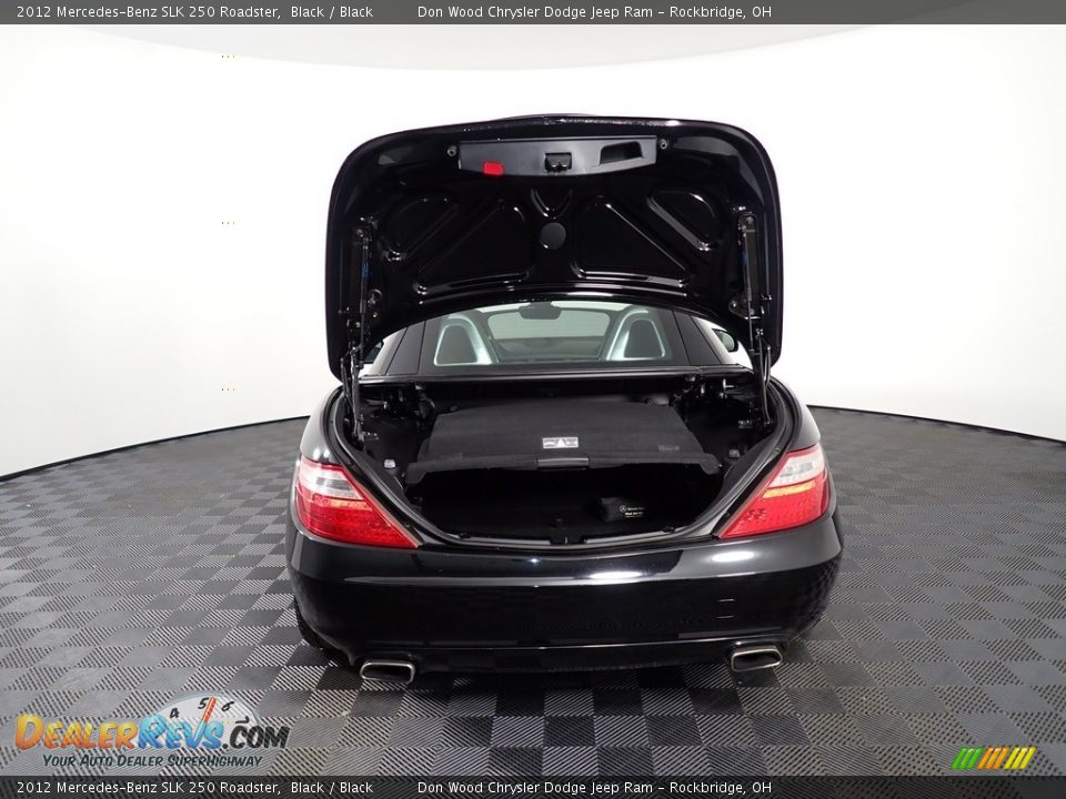 2012 Mercedes-Benz SLK 250 Roadster Black / Black Photo #14