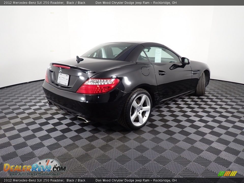 2012 Mercedes-Benz SLK 250 Roadster Black / Black Photo #16