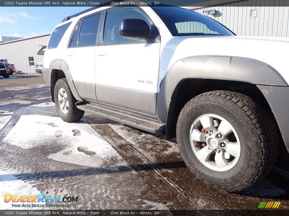 2003 Toyota 4Runner SR5 4x4 Natural White / Stone Photo #3