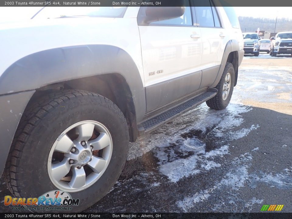 2003 Toyota 4Runner SR5 4x4 Natural White / Stone Photo #8