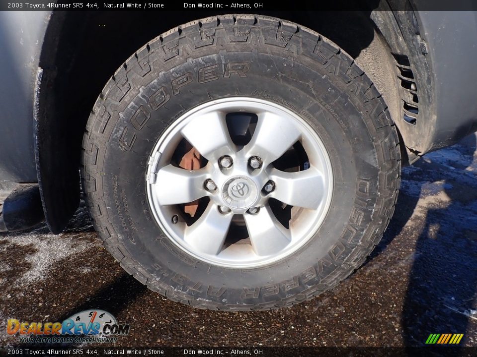 2003 Toyota 4Runner SR5 4x4 Natural White / Stone Photo #14