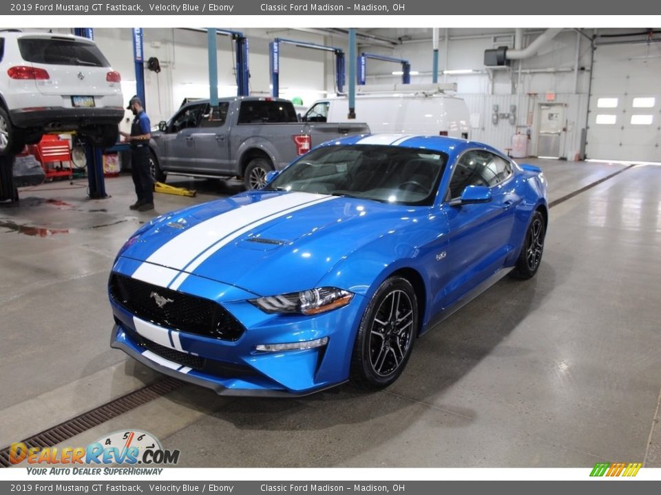 2019 Ford Mustang GT Fastback Velocity Blue / Ebony Photo #1