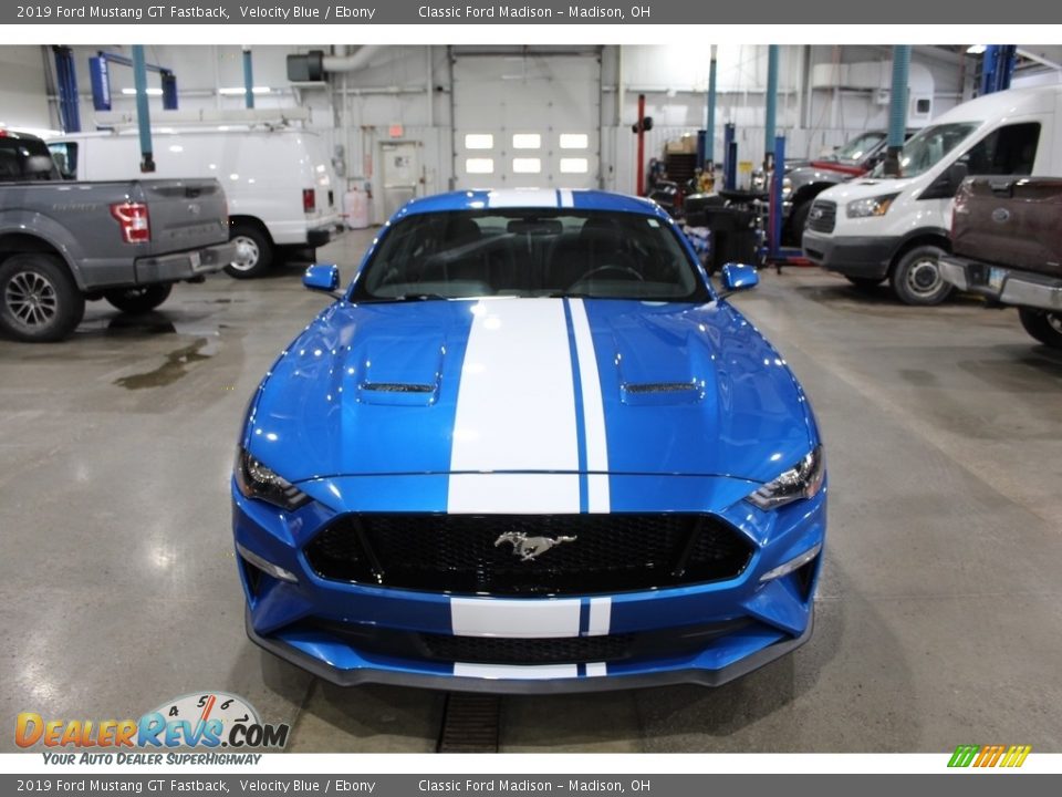 2019 Ford Mustang GT Fastback Velocity Blue / Ebony Photo #2