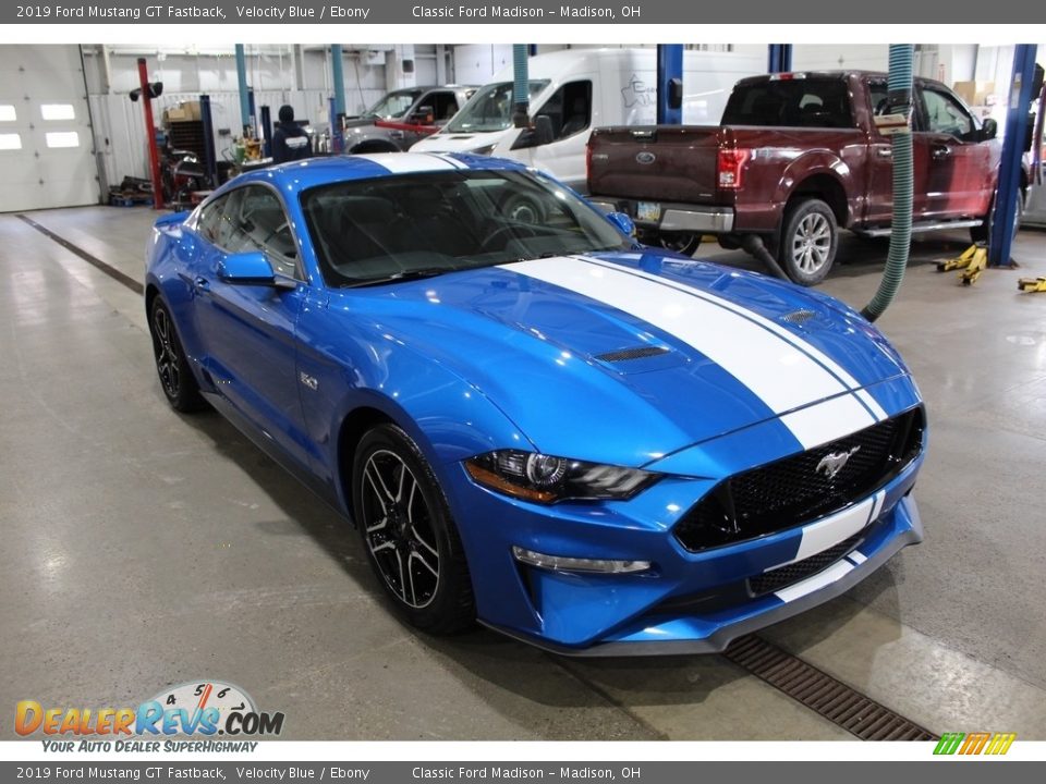 2019 Ford Mustang GT Fastback Velocity Blue / Ebony Photo #3