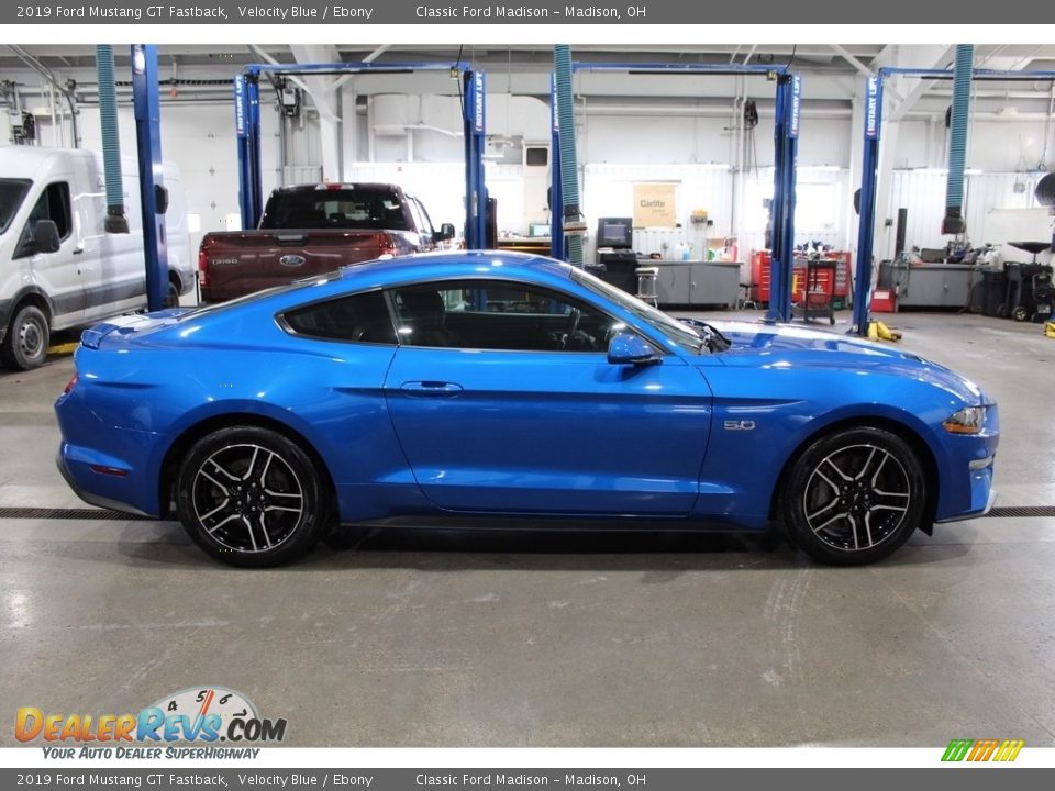 2019 Ford Mustang GT Fastback Velocity Blue / Ebony Photo #4