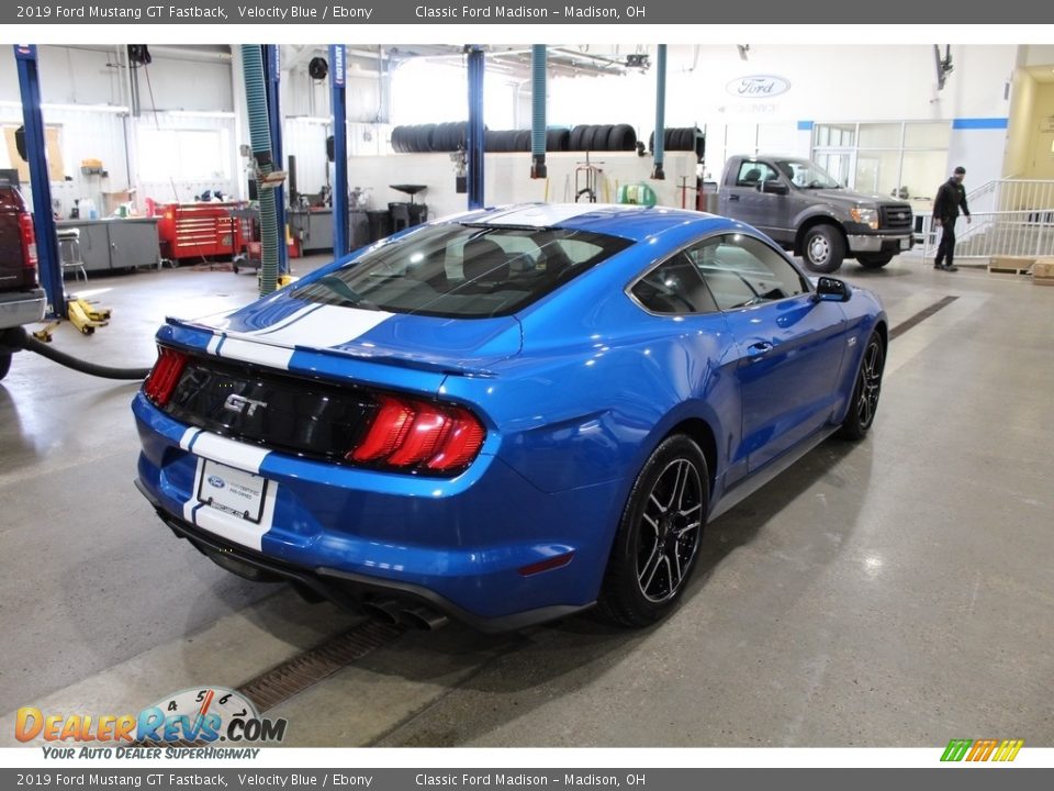 2019 Ford Mustang GT Fastback Velocity Blue / Ebony Photo #5