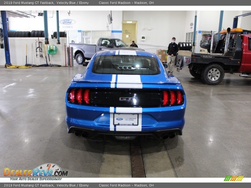 2019 Ford Mustang GT Fastback Velocity Blue / Ebony Photo #6