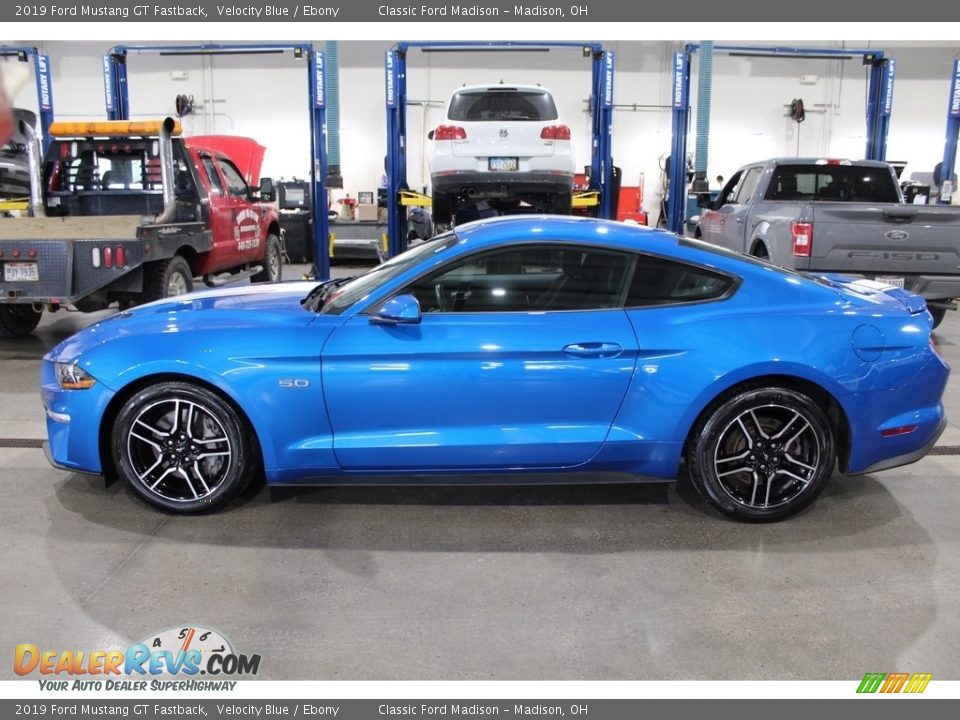 Velocity Blue 2019 Ford Mustang GT Fastback Photo #8