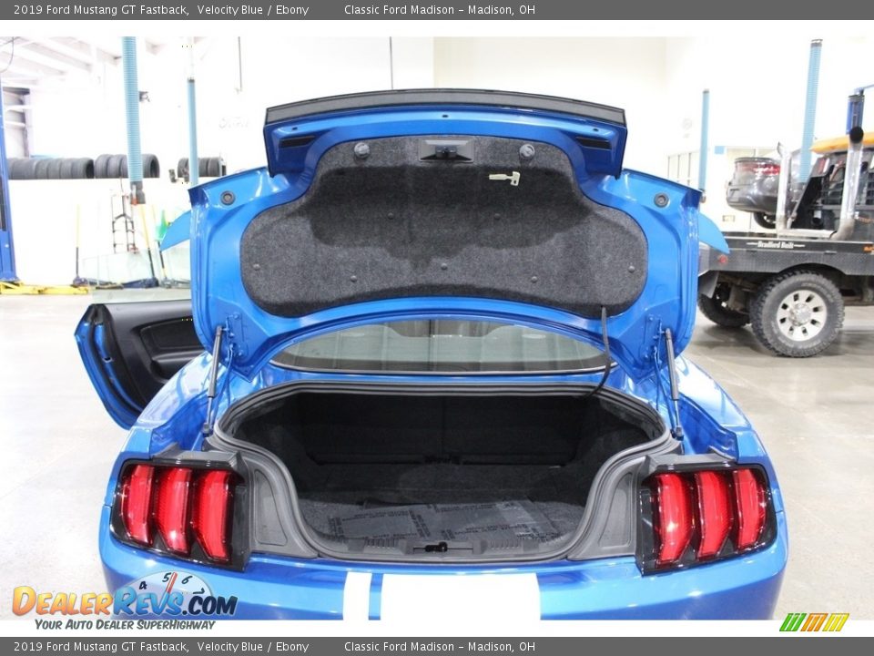 2019 Ford Mustang GT Fastback Velocity Blue / Ebony Photo #13