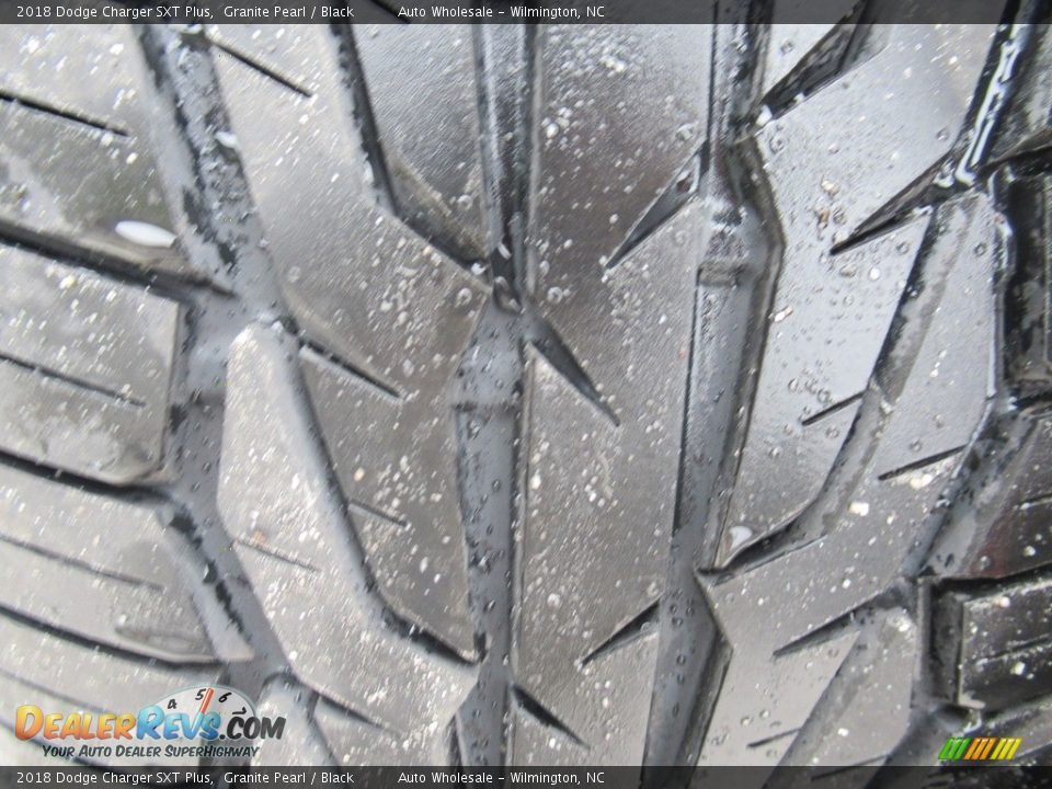 2018 Dodge Charger SXT Plus Granite Pearl / Black Photo #8