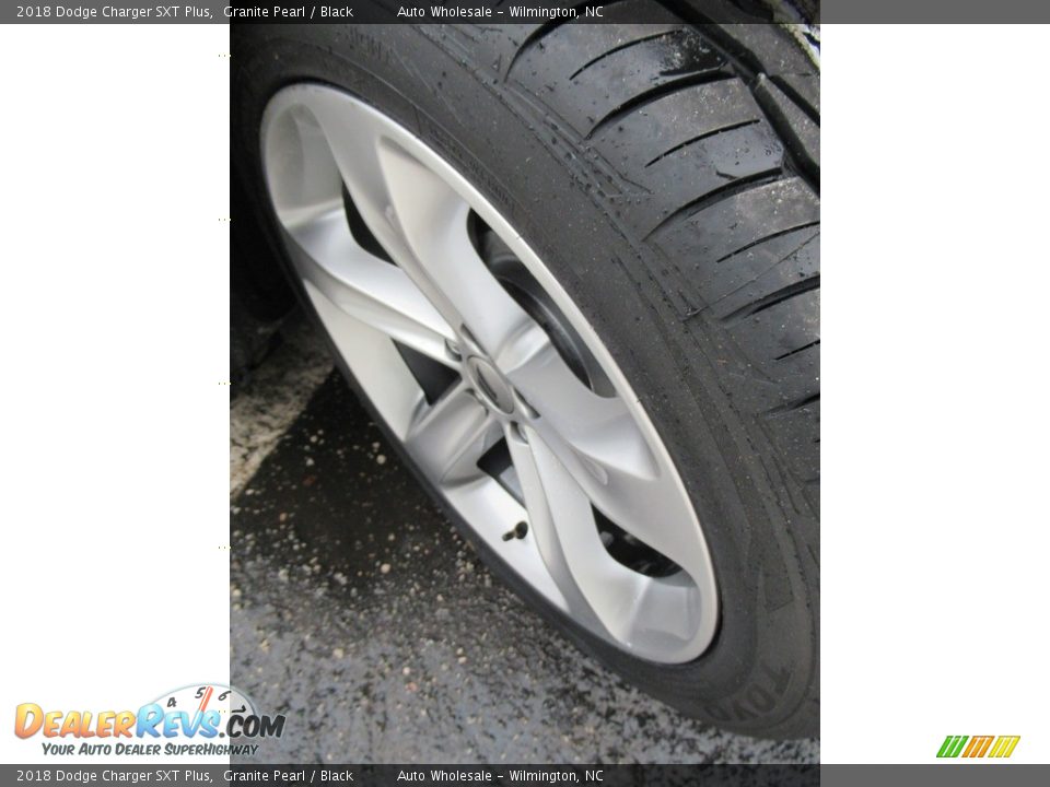 2018 Dodge Charger SXT Plus Granite Pearl / Black Photo #9