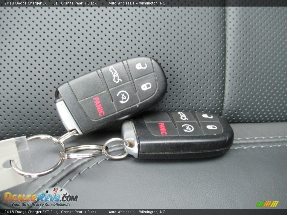 2018 Dodge Charger SXT Plus Granite Pearl / Black Photo #20