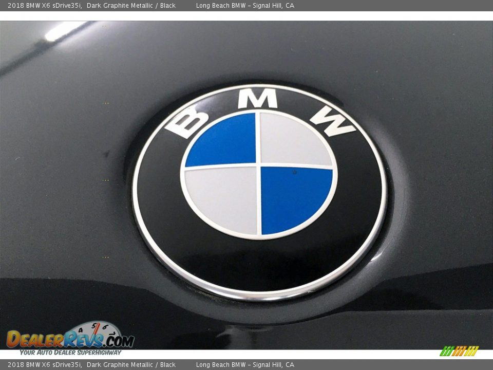 2018 BMW X6 sDrive35i Dark Graphite Metallic / Black Photo #33